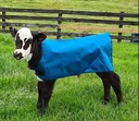 Ezepak Calf Cover (Stock)